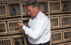 Castigator Barcelona 1953 – Roger Vanden Berghe