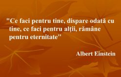 Roger Florizoone o amprenta puternica in istorie